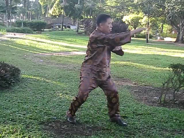 Wu Chuan You Style Taijiquan